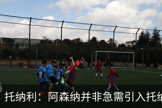 托纳利：阿森纳并非急需引入托纳利，不应花1亿英镑买他