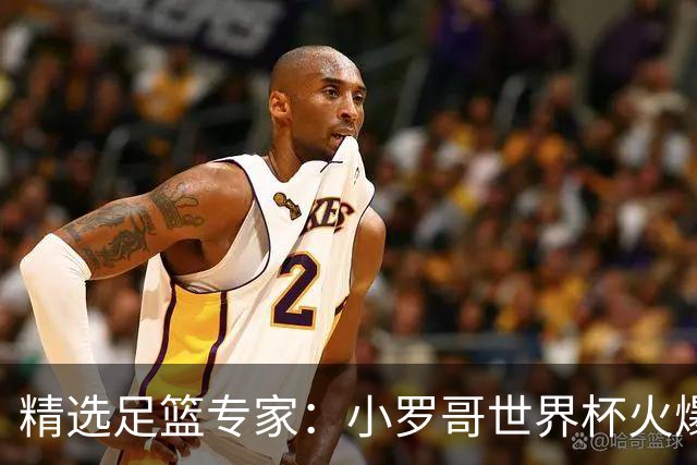 精选足篮专家：小罗哥世界杯火爆9连红长线15中13！